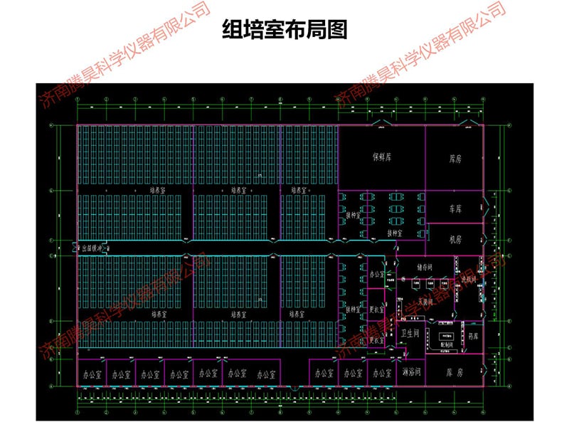 张家口精东传媒app下载免费室设计图