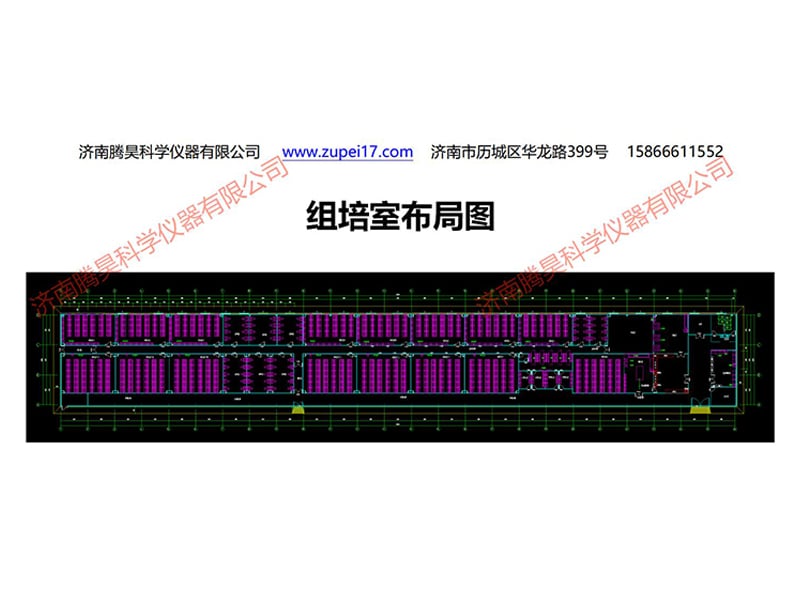 浙江植物精东传媒app下载免费实验