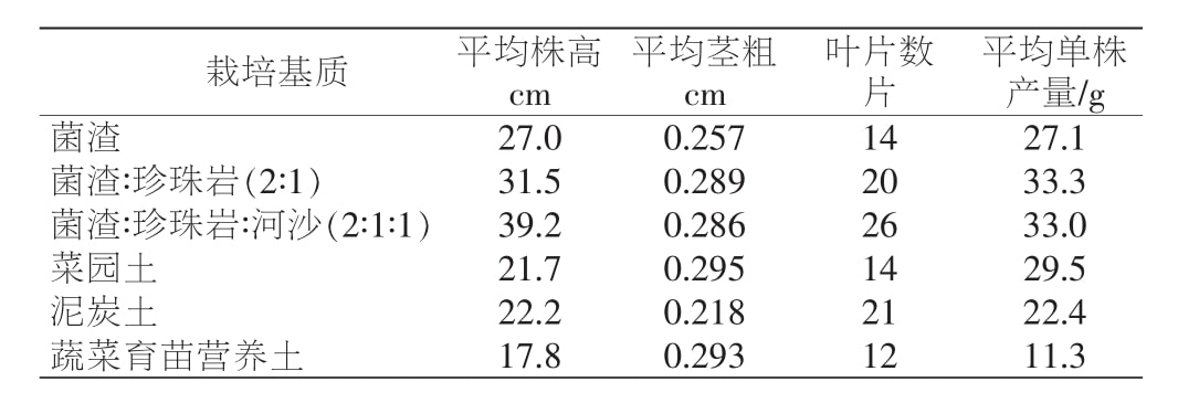 黄精精东传媒app下载免费苗移栽技术研究