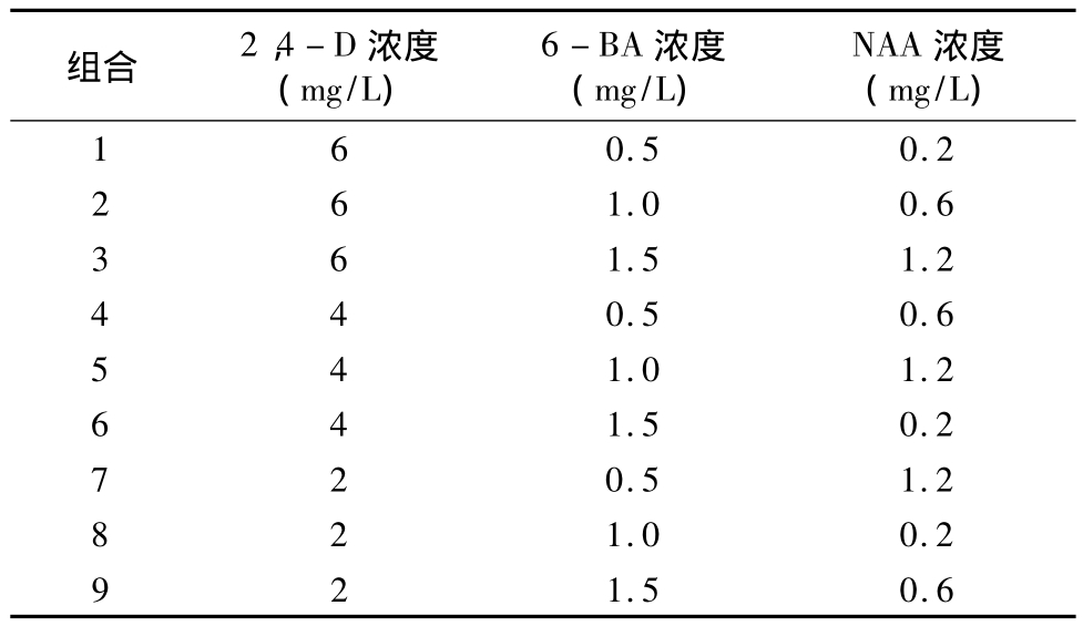 柳枝稷种子精东传媒app下载免费快繁技术